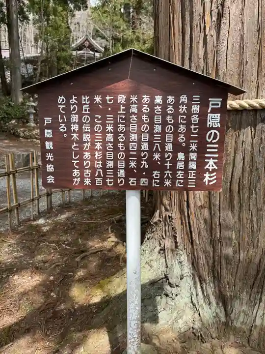 戸隠神社中社(長野県)