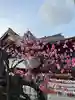 素盞雄神社(東京都)