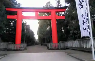井草八幡宮の鳥居
