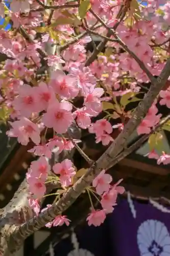 東京大神宮のその他建物