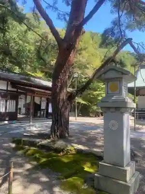 村松大神宮(茨城県)
