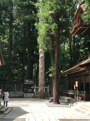 諏訪大社下社春宮(長野県)