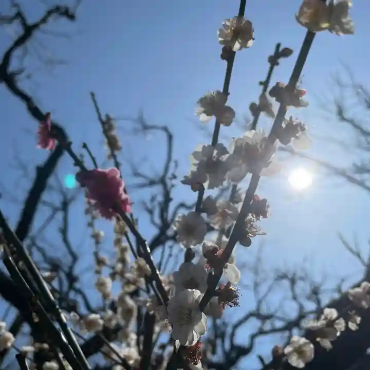 光則寺(神奈川県)