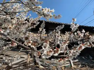 大井俣窪八幡神社の周辺