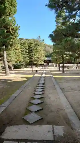 萬福寺の{uncategorized: "未分類", other: "その他", undefined: "問題あり", building: "その他建物", grave: "お墓", sacred_gate: "鳥居", guardian: "狛犬", statue: "像", buddha: "仏像", history: "歴史", nature: "自然", garden: "庭園", animal: "動物", pagoda: "塔", temizu: "手水舎", mountain_gate: "山門・神門", sanctuary: "本殿・本堂", subordinate: "末社・摂社", art: "芸術", scenery: "景色", jizo: "地蔵", ema: "絵馬", goshuin: "御朱印", omikuji: "おみくじ", items: "授与品その他", amulet: "お守り", goshuincho: "御朱印帳", eats: "食事", festival: "お祭り", votive_dance: "神楽", shichigosan: "七五三参", wedding: "結婚式", experience: "体験その他", initially: "初詣", around: "周辺", anti_infection: "感染症対策"}