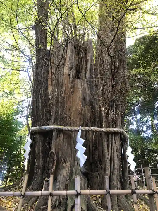 大國魂神社(東京都)