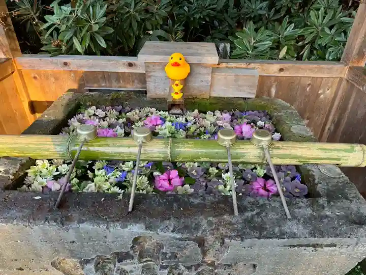 白根神社の{uncategorized: "未分類", other: "その他", undefined: "問題あり", building: "その他建物", grave: "お墓", sacred_gate: "鳥居", guardian: "狛犬", statue: "像", buddha: "仏像", history: "歴史", nature: "自然", garden: "庭園", animal: "動物", pagoda: "塔", temizu: "手水舎", mountain_gate: "山門・神門", sanctuary: "本殿・本堂", subordinate: "末社・摂社", art: "芸術", scenery: "景色", jizo: "地蔵", ema: "絵馬", goshuin: "御朱印", omikuji: "おみくじ", items: "授与品その他", amulet: "お守り", goshuincho: "御朱印帳", eats: "食事", festival: "お祭り", votive_dance: "神楽", shichigosan: "七五三参", wedding: "結婚式", experience: "体験その他", initially: "初詣", around: "周辺", anti_infection: "感染症対策"}