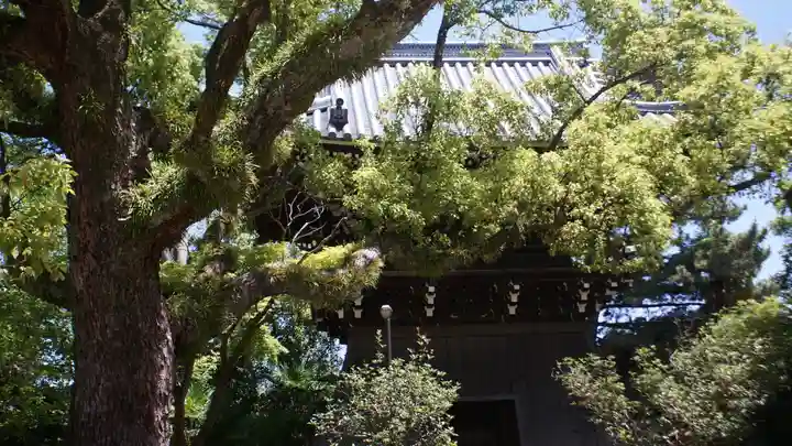 昆陽寺(兵庫県)