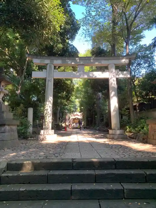 代々木八幡宮の鳥居