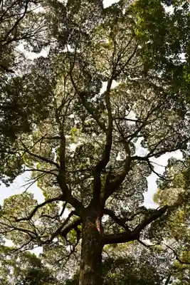 神明神社(徳島県)