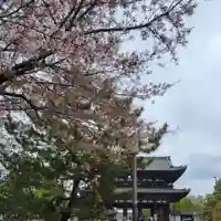 仁和寺(京都府)