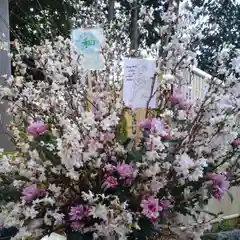 東海市熊野神社の手水