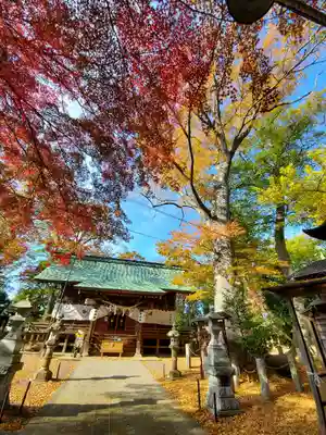 日吉神社の本殿・本堂