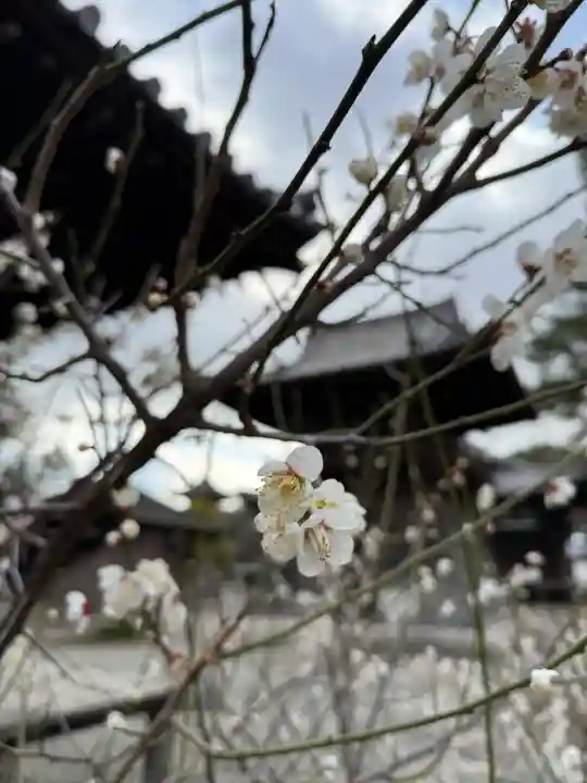 鶴林寺(兵庫県)