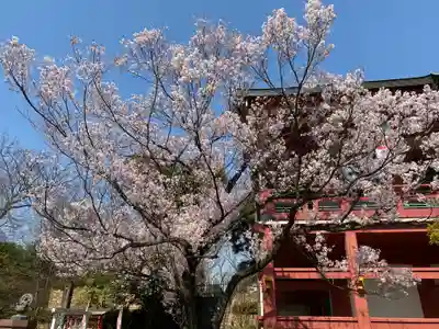 瀧泉寺（目黒不動尊）のその他建物