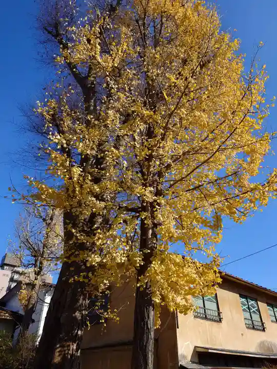 阿邪訶根神社(福島県)