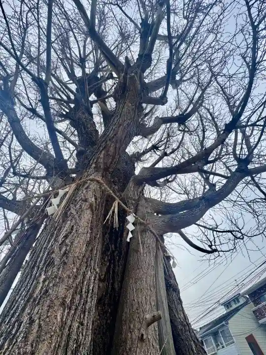 八大龍王辨財天の{uncategorized: "未分類", other: "その他", undefined: "問題あり", building: "その他建物", grave: "お墓", sacred_gate: "鳥居", guardian: "狛犬", statue: "像", buddha: "仏像", history: "歴史", nature: "自然", garden: "庭園", animal: "動物", pagoda: "塔", temizu: "手水舎", mountain_gate: "山門・神門", sanctuary: "本殿・本堂", subordinate: "末社・摂社", art: "芸術", scenery: "景色", jizo: "地蔵", ema: "絵馬", goshuin: "御朱印", omikuji: "おみくじ", items: "授与品その他", amulet: "お守り", goshuincho: "御朱印帳", eats: "食事", festival: "お祭り", votive_dance: "神楽", shichigosan: "七五三参", wedding: "結婚式", experience: "体験その他", initially: "初詣", around: "周辺", anti_infection: "感染症対策"}