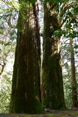河内神社(高知県)