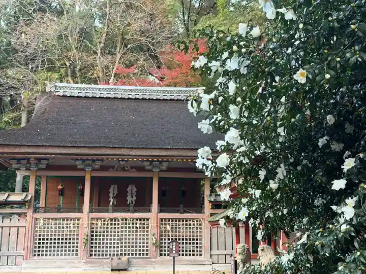 石清水八幡宮(京都府)