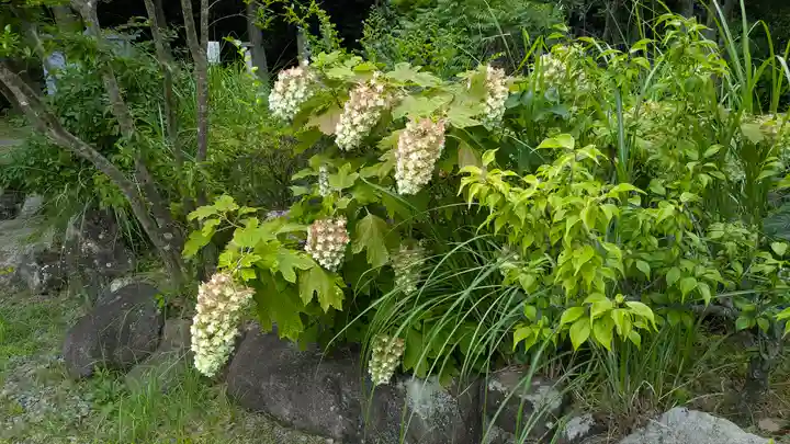大林寺(兵庫県)