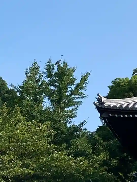石鎚神社 口之宮 本社(愛媛県)