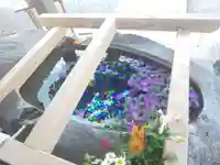 甲斐國一宮 浅間神社の手水舎