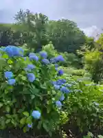 陽林寺(福島県)