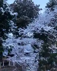 高司神社〜むすびの神の鎮まる社〜の自然