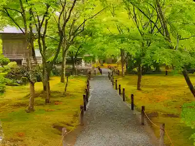 三千院門跡(京都府)