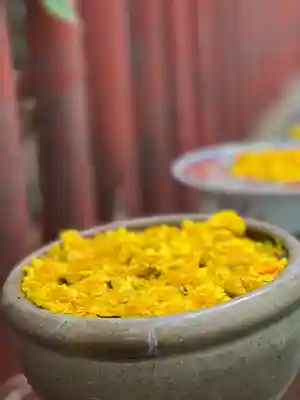 川越八幡宮(埼玉県)