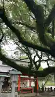 導きの神大牟田熊野神社のその他建物
