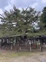 鏡忍寺(千葉県)