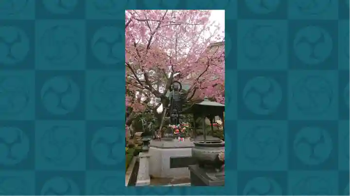 密藏院(埼玉県)