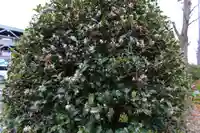 愛宕神社の周辺