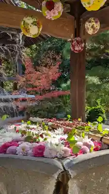 光明寺（粟生光明寺）(京都府)