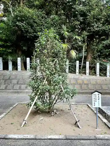 春日部八幡神社(埼玉県)