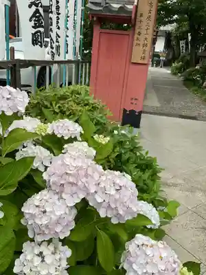 安養寺（弥勒院）(愛知県)