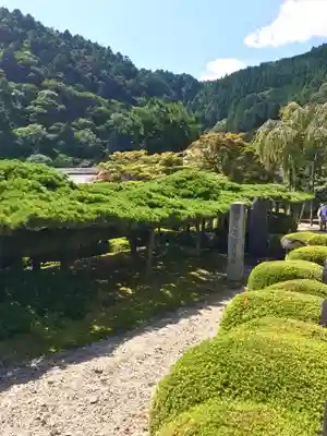善峯寺(京都府)
