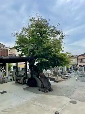 東光院(神奈川県)