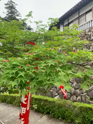 関善光寺の{uncategorized: "未分類", other: "その他", undefined: "問題あり", building: "その他建物", grave: "お墓", sacred_gate: "鳥居", guardian: "狛犬", statue: "像", buddha: "仏像", history: "歴史", nature: "自然", garden: "庭園", animal: "動物", pagoda: "塔", temizu: "手水舎", mountain_gate: "山門・神門", sanctuary: "本殿・本堂", subordinate: "末社・摂社", art: "芸術", scenery: "景色", jizo: "地蔵", ema: "絵馬", goshuin: "御朱印", omikuji: "おみくじ", items: "授与品その他", amulet: "お守り", goshuincho: "御朱印帳", eats: "食事", festival: "お祭り", votive_dance: "神楽", shichigosan: "七五三参", wedding: "結婚式", experience: "体験その他", initially: "初詣", around: "周辺", anti_infection: "感染症対策"}