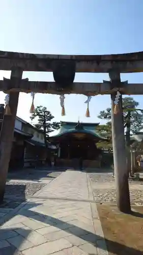 京都ゑびす神社の鳥居