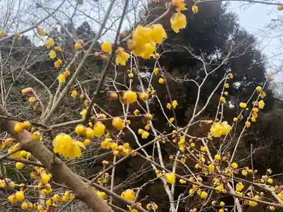 木舟山　順教寺(広島県)