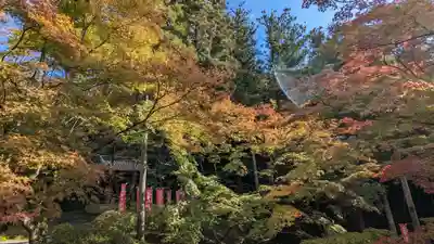 今熊野観音寺(京都府)