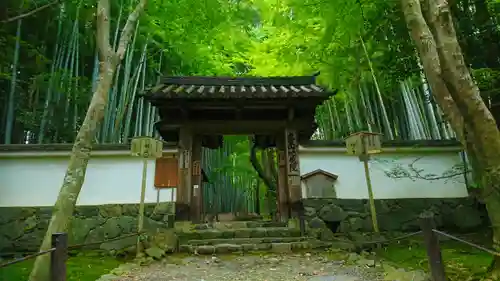 地蔵院(京都府)