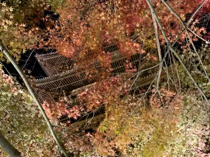 東寺(教王護国寺)の塔