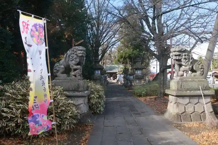 神炊館神社 ⁂奥州須賀川総鎮守⁂の狛犬