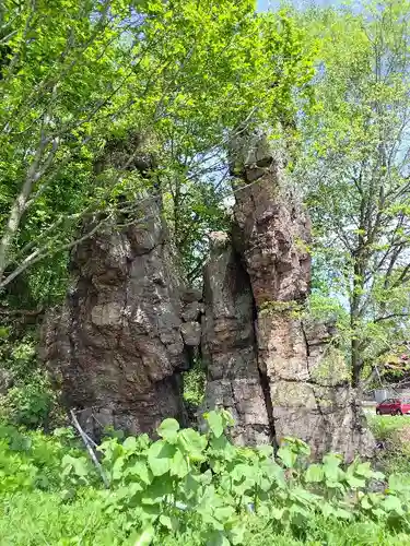 水神龍王神社の自然