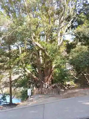 安房神社(千葉県)