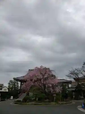 最勝寺(東京都)