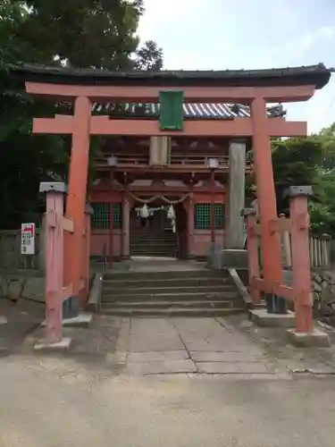 伊豫稲荷神社の鳥居